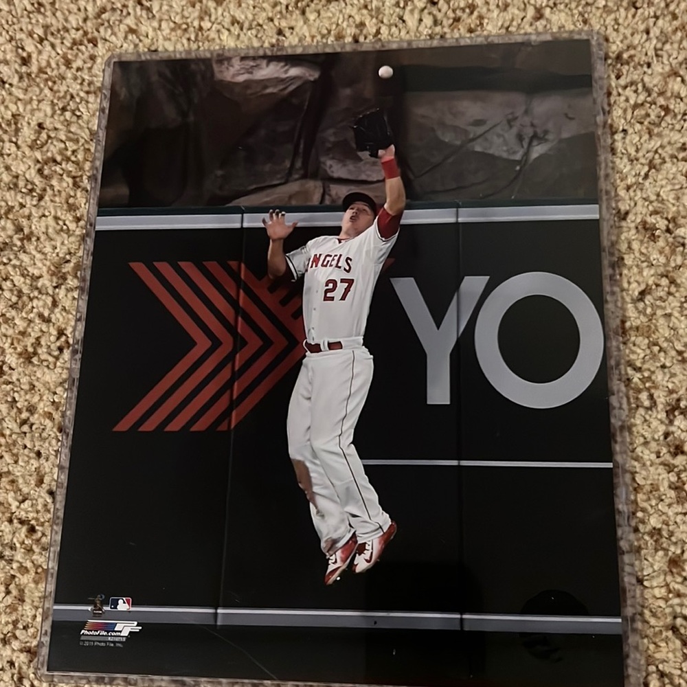 Mike Trout picture